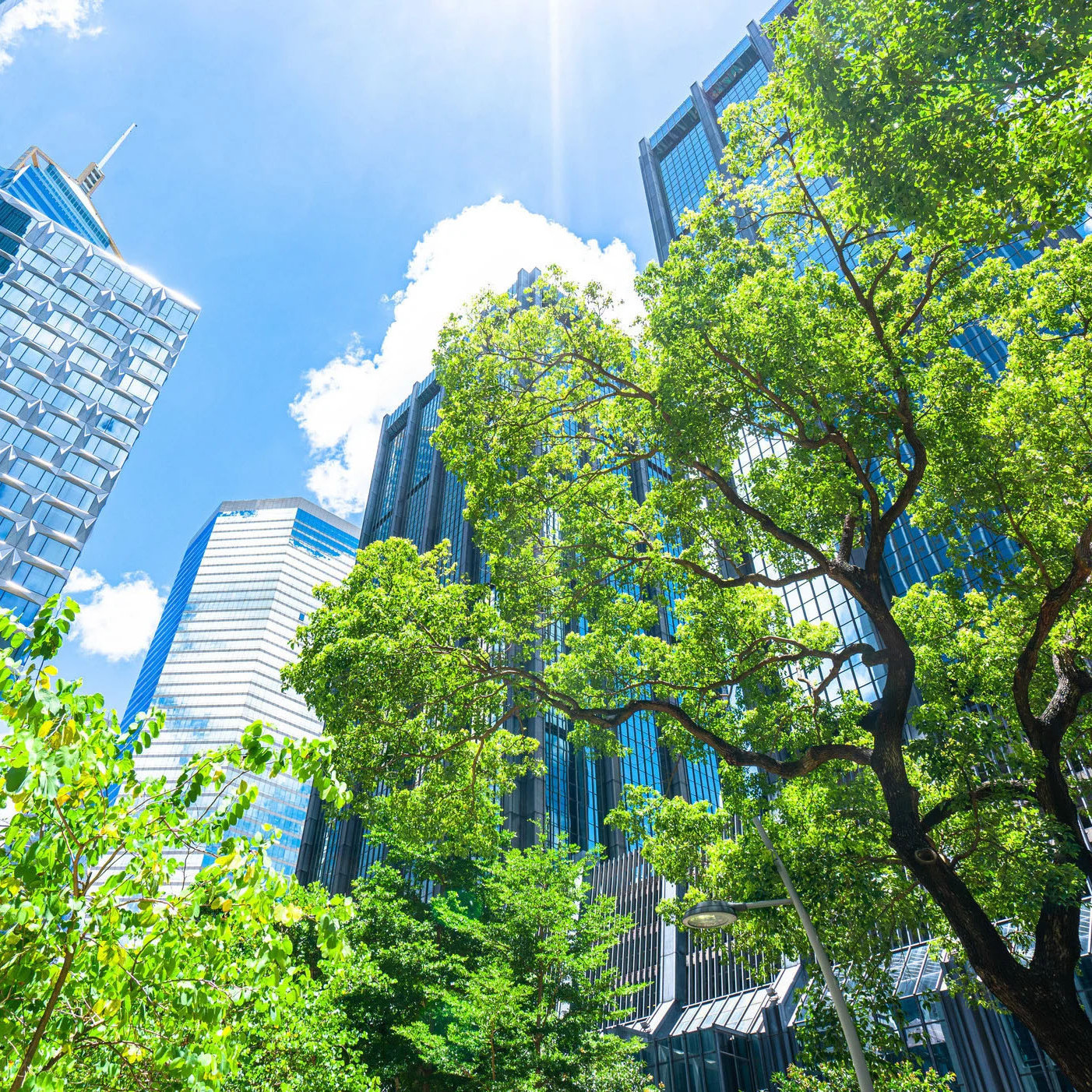 ACO Green City - 
climate resilient urban planning